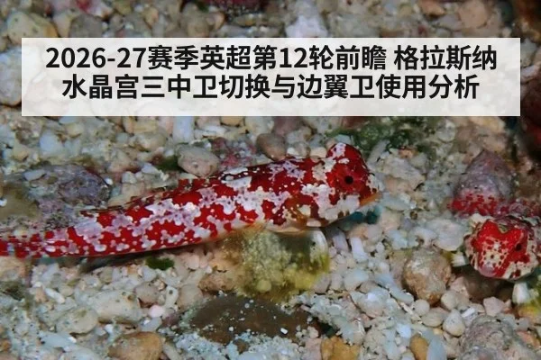2026-27赛季英超第12轮前瞻 格拉斯纳水晶宫三中卫切换与边翼卫使用分析